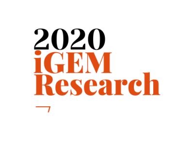 2020 iGEM Research Project